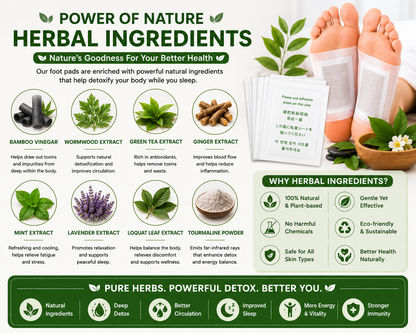 Herbal Premium Detox Foot Pads | Natural Foot Detox Patch | Buy 1 Get 1 Free